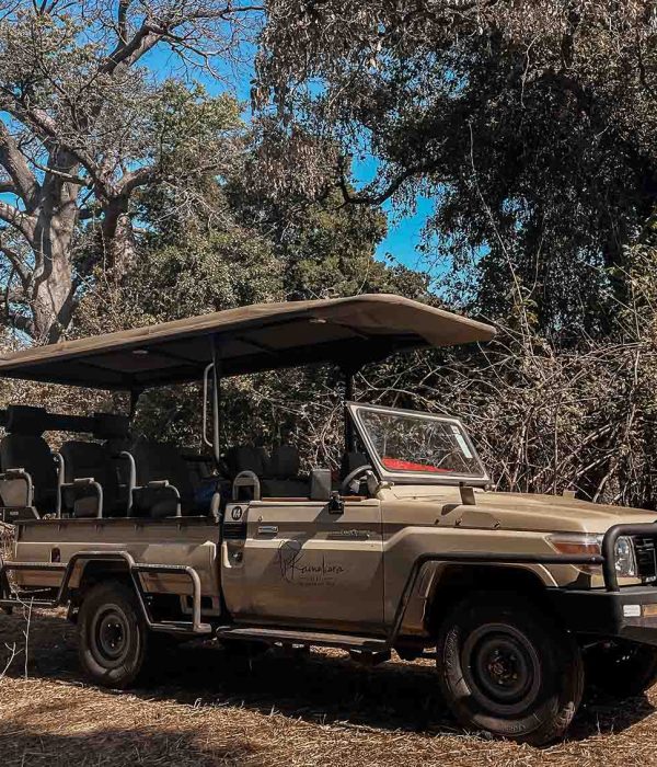 kAMAKARA CAR
